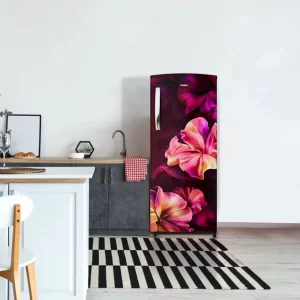 Whirlpool 215 L Direct Cool Single Door 5 Star Refrigerator - Image 3